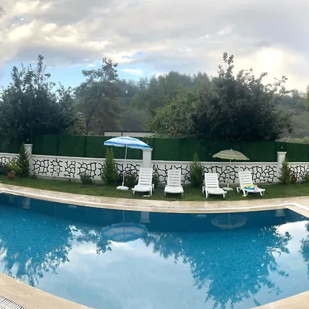 Vila Star House *