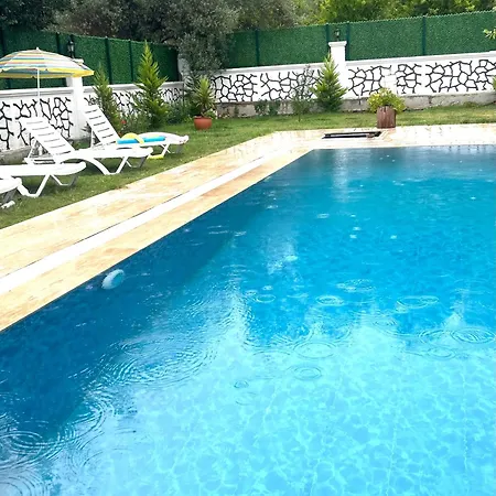 Vila Star House