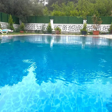 Vila Star House